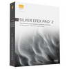 Silver Efex Pro 2