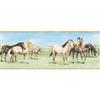 Blue Mountain® 9'' Solid Vinyl, Completely Kids Grazing Horse Border - Primary