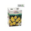 HOME GARDENER 25 Pack Yellow Daffodil Bulbs