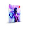 Adobe After Effects CS6 (Mac) - French
