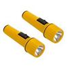 Likewise Household Flashlights, 2-Pack