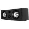 Earthquake Speaker - Black (PN-2515) - Black - Single Speaker