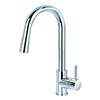 Ancona Hi-arc Pull-out Kitchen Faucet