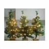 CARILLON 3 Piece Set 24" Lighted Trees Pathway Markers