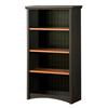 South Shore Gascony Collection Bookcase, Ebony and Spice Wood Finish
