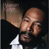 Marvin Gaye - Marvin Gaye (2CD)