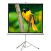 EluneVision Portable Tripod Projector Screen - 70" x 70" Viewable