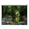 EluneVision Triton Manual Pull-Down Projector Screen - 100" - 4:3