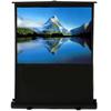 EluneVision Portable Pneumatic Air-Lift Projector Screen - 80" - 4:3