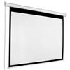 AccuScreen electric projection screen - 119 inches