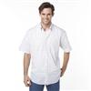 Arrow 'Bradstreet' Short-Sleeve Broadcloth Shirt