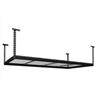 NewAge Products Inc. 4 ft. x 8 ft. Ceiling Storage Rack