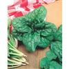 Mr. Fothergill's Seeds Spinach America