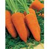 Mr. Fothergill's Seeds Carrot Chantenay Red Cored 2