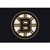 NHL 5 Ft. 4 In. x 7 Ft. 8 In. Boston Bruins Spirit Rug