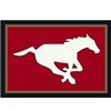 CFL 3 Ft. 10 In. x 5 Ft. 4 In. Calagary Stampeders Spirit Rug