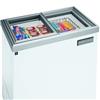Frigidaire® 204 L (7.2 cu ft.) Commercial Display Freezer