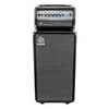 Ampeg Micro Classic Bass Cabinet (SVT210AV)