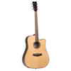 Tanglewood Acoustic Guitar (TRD-CE)