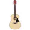 Fender NAT Dreadnought Acoustic Guitar With Case (CD-60)
