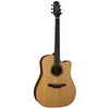 Takamine Dreadnought Acoustic/Electric Cutaway Guitar (ETN10C)