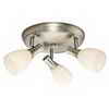 Urbana 3-Light Canopy Fixture