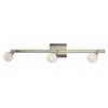 Genoa 3-Light Track fixture