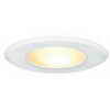 Recessed 4-in. Light, White