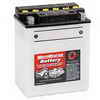 MotoMaster Powersports Battery, 6-Volt