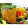 Pic Wasp/Yellow Jacket Trap