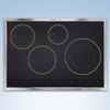 Electrolux® 30'''' Induction Cook Top - Stainless Steel