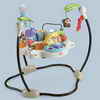 Fisher-Price® 'Luv U Zoo' Jumperoo