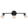 CANARM Fixture - "Hamilton" 3-Light Track Fixture