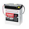 MotoMaster Powersports Battery, 12-Volt