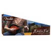 Fender Mandolin Pack (FM-100)