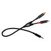 Digiflex 3m (10 ft.) Stereo Mini to Dual RCA Splitter Cable (HIN-1K-2RB-10)