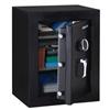 Sentry Safe Executive Fire-Safe