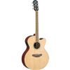 Yamaha Acoustic / Electric Guitar (CPX500II)