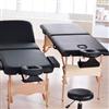 Life 1stPowerlite® Massage Table