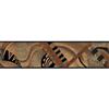 Sanitas® 5.13'' H Earth Tone Geometric Scroll Border