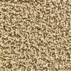 Martha Stewart Living Chesterwood (S) Hemp Carpet - Per Sq. Ft.