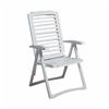 GRACIOUS LIVING Biarritz Resin Folding Moss Chair