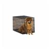 36" Medium Folding Dog Cage, with Divider