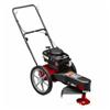 SWISHER 6.5 HP 22" Deluxe Trimmer/Mower