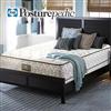 Bernier Plush Twin Mattress