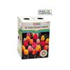 HOME GARDENER 50 Pack Tulip Bulbs