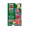 MARK'S CHOICE 28 Pack Tulip Flower Bulbs