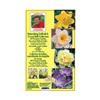 MARK'S CHOICE 40 Pack Naturalizing Daffodil and Crocus Flower Bulbs