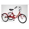 BELIZE BICYCLE 24" Wheels 5 Speed Adult Trike