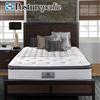 Parlier Plush King Mattress